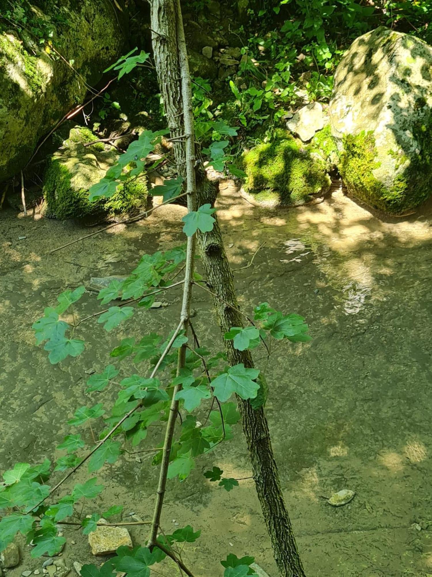 Alloggio Petrigh Canal di Grivo Exterior foto