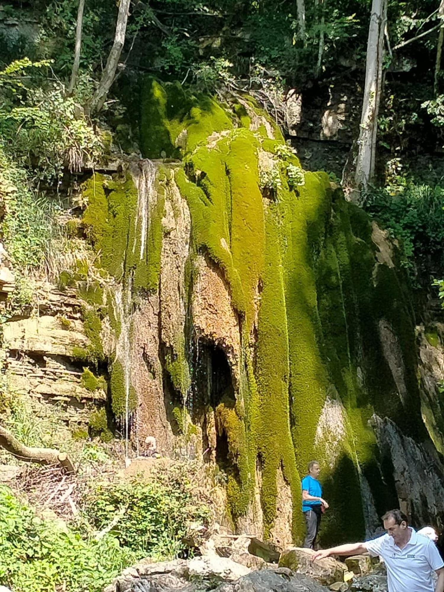 Alloggio Petrigh Canal di Grivo Exterior foto